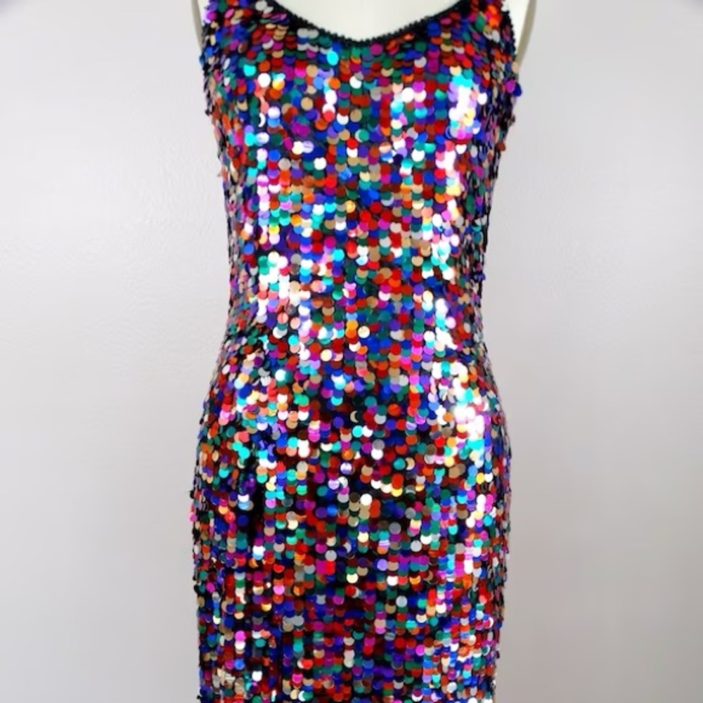 Confetti Sequined Minj Dress